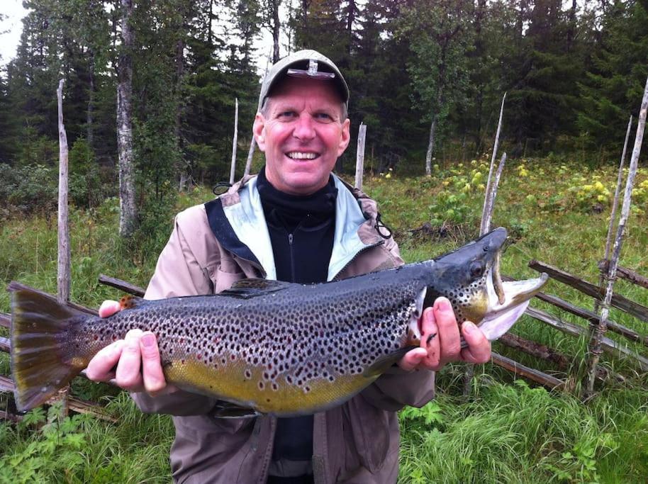 Flott Fritidsleilighet I Bualie Pa Golsfjellet Exterior foto